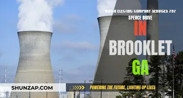 Electricity for Spence Drive: Brooklet's Power Company Guide