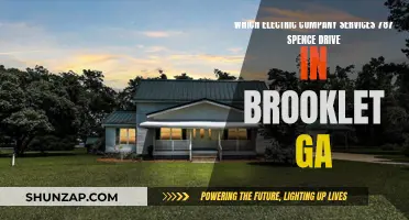 Who Powers 787 Spence Drive, Brooklet, GA?