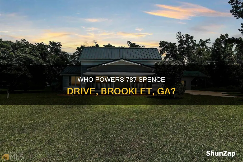 which electric company services 787 spence drive in brooklet ga