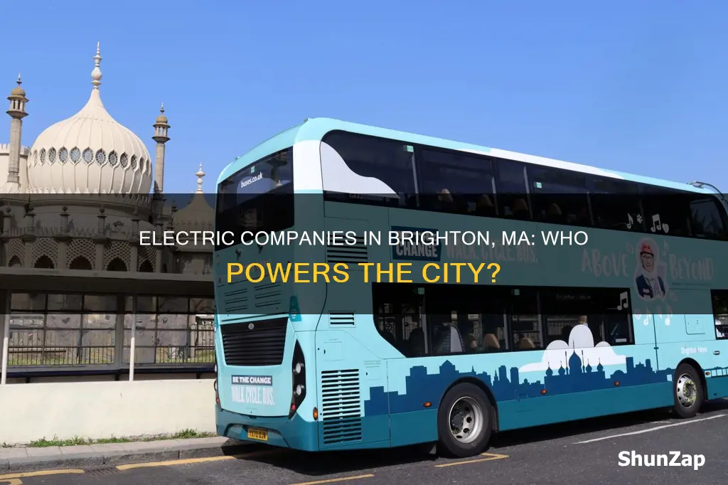 which electric company services brighton ma
