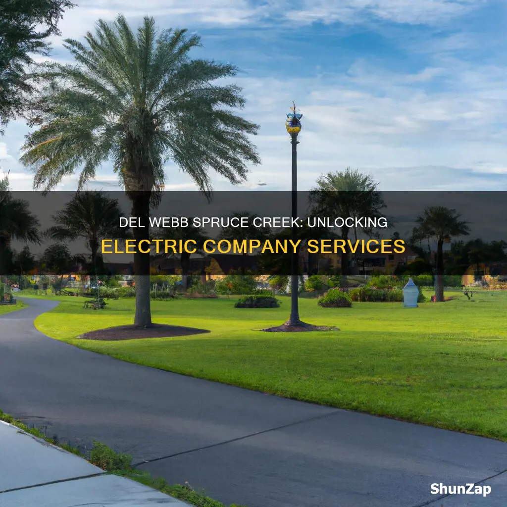 which electric company services del webb spruce creek