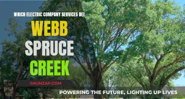 Electric Company Options for Del Webb Spruce Creek Residents