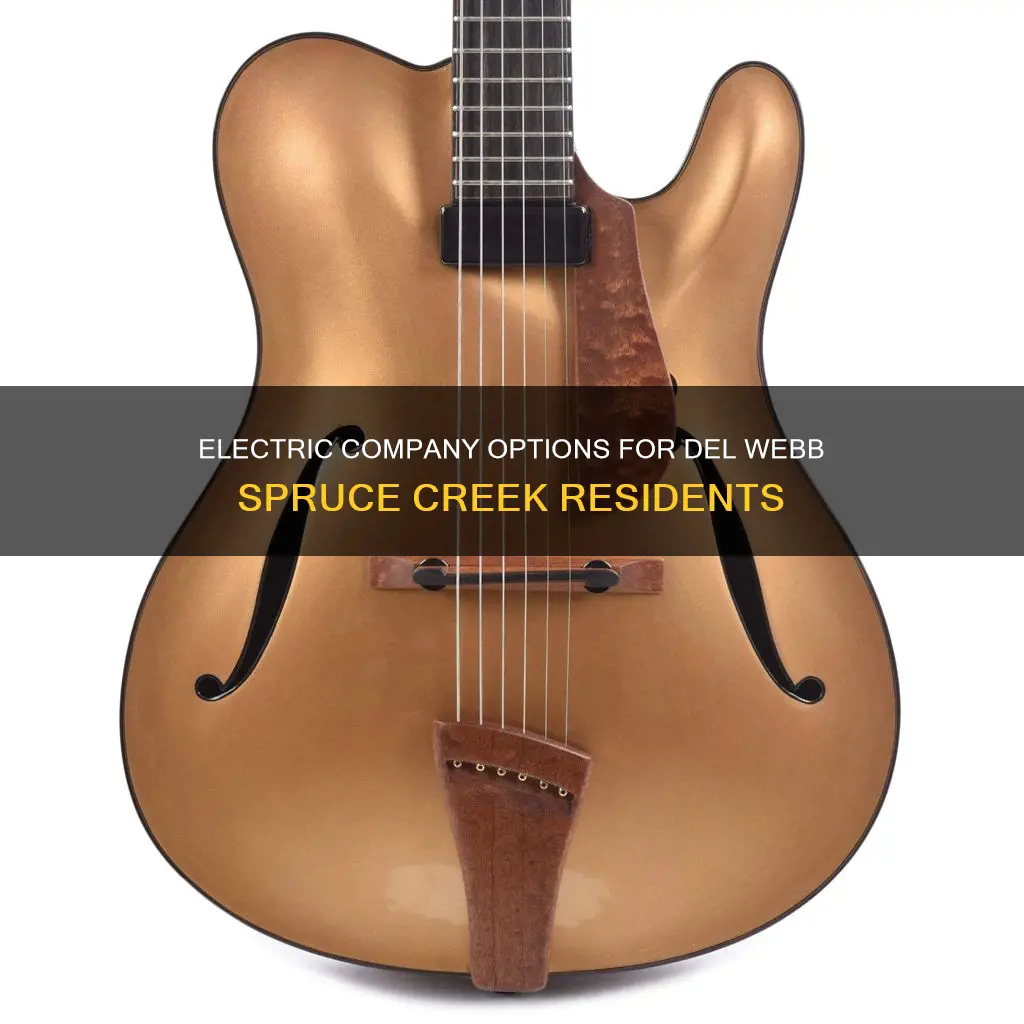 which electric company services del webb spruce creek