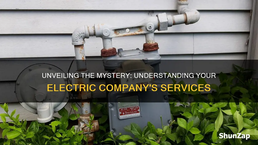 which electric company services doe run mo