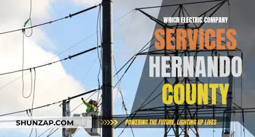 Powering Hernando: Exploring Electric Company Options