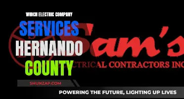 Hernando County's Electric Company: Who Powers the County?
