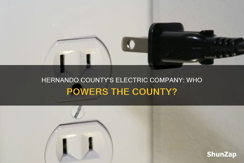 which electric company services hernando county