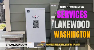 Electricity Providers in Lakewood, Washington: Your Energy Solutions