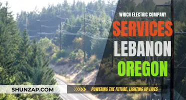 Electricity Providers in Lebanon, Oregon: Your Comprehensive Guide