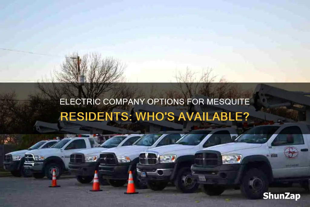 which electric company services mesquite