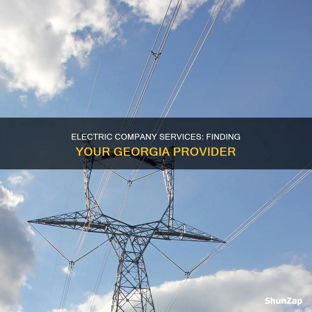 which electric company services my address ga