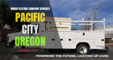 Electric Companies in Pacific City, Oregon: Who Powers This Beach Town?