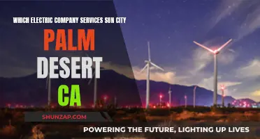 Sun City Palm Desert's Electric Power: Top Providers Revealed