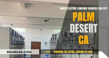 Electric Company Options for Sun City Palm Desert, CA Residents