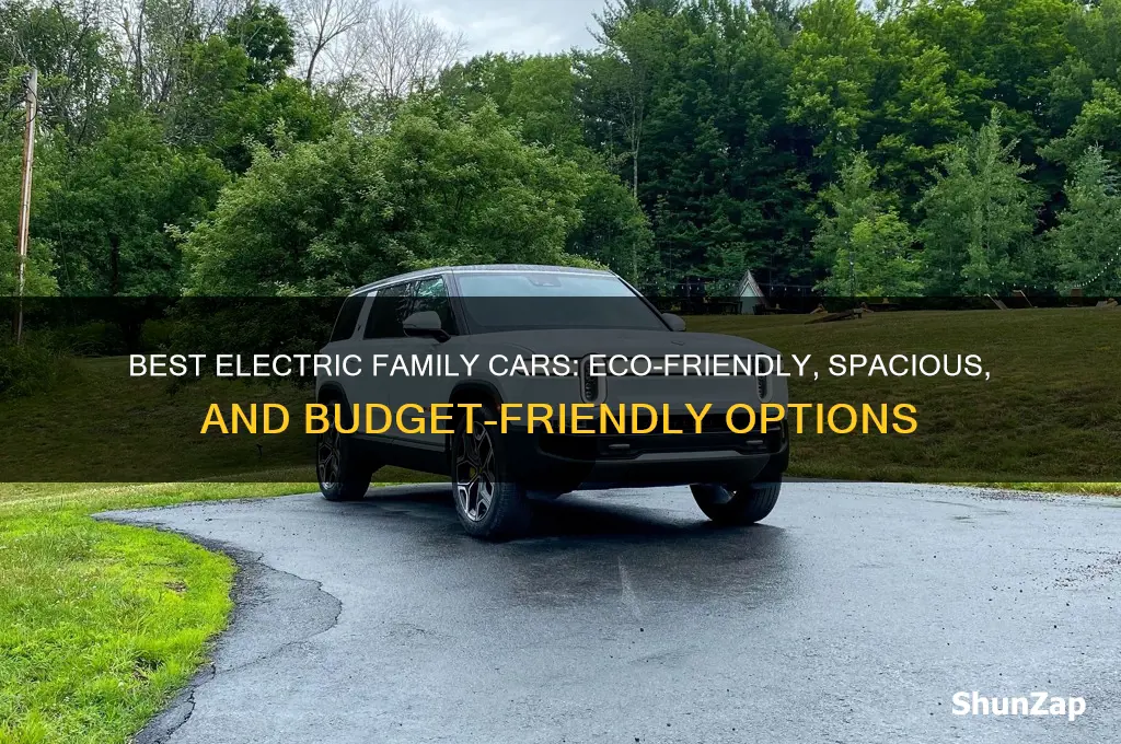 which electric family car