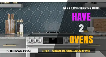 Induction Ranges with Double Ovens: Efficient Cooking