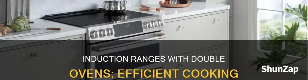 which electric induction ranges have 2 ovens