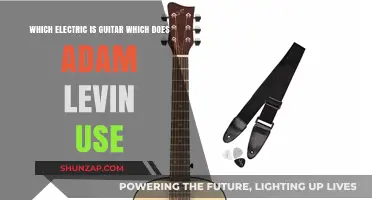 Adam Levine's Signature Sound: The Electric Guitar He Uses