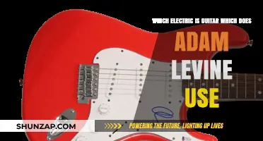 Adam Levine's Electric Guitar: His Signature Model and Favorites