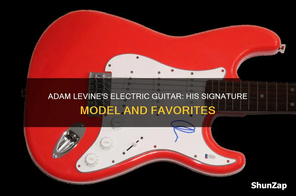 which electric is guitar which does adam levine use