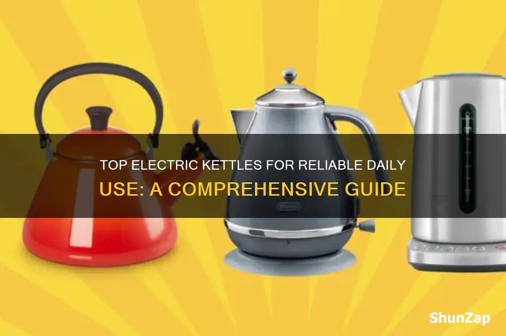 which electric kettle is best for daily use