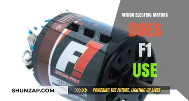 Exploring the High-Performance Electric Motors Powering F1 Racing Cars