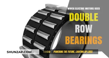 Electric Motors Using Double Row Bearings: Types and Applications