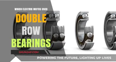 Electric Motos Using Double Row Bearings: Brands and Models