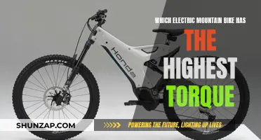 Torque Power: Electric Mountain Bikes with Maximum Twist