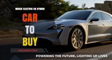 Top Electric & Hybrid Car Picks: Your Ultimate Eco-Friendly Buying Guide