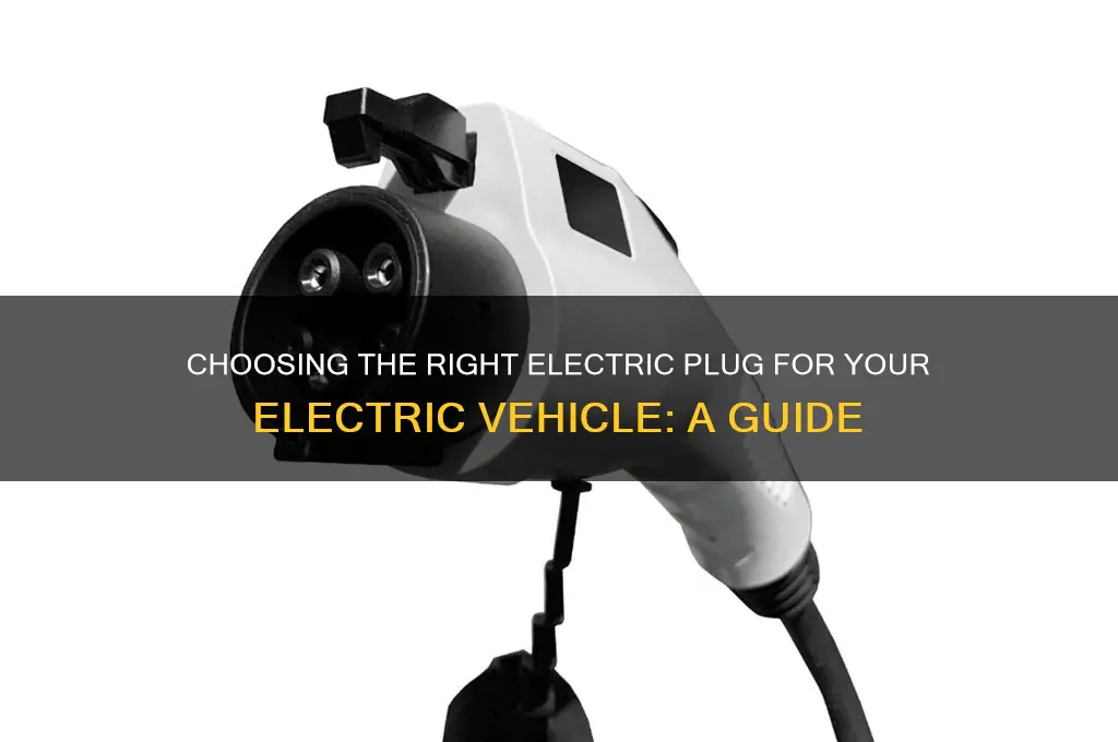 which electric plug is best for my electric car