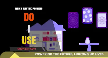 Choosing the Right Electric Provider: A Comprehensive Guide for Consumers