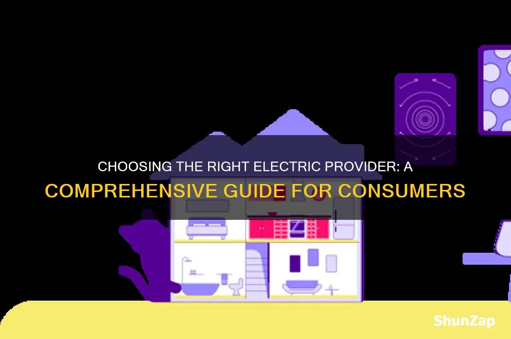which electric provider do i use