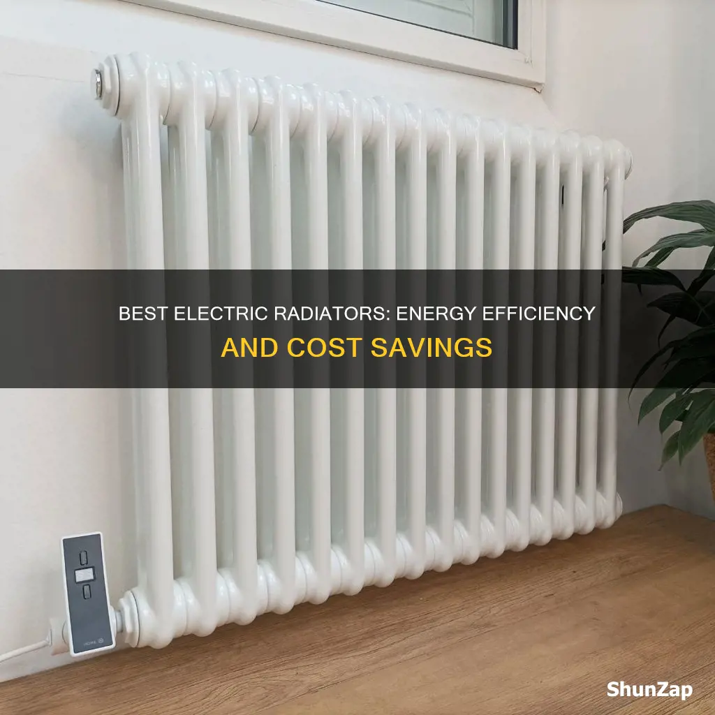 which electric radiators are the most efficient