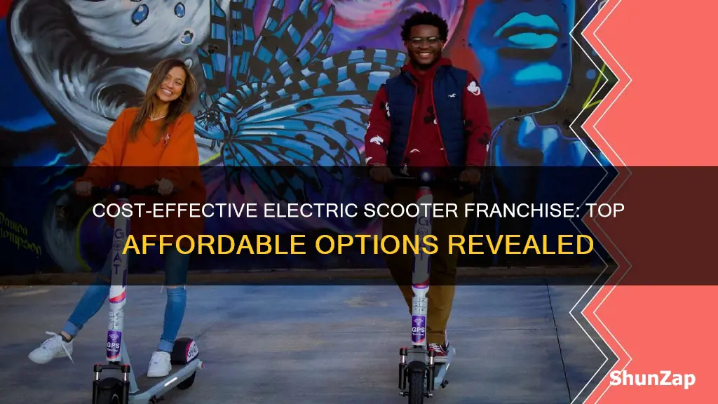 which electric scooter company is chea to franchise withpest