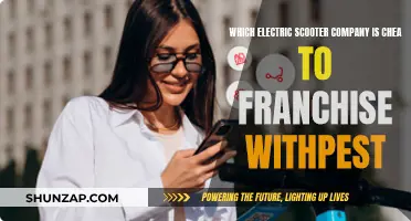 Affordable Electric Scooter Franchising: Cheapest Companies to Consider