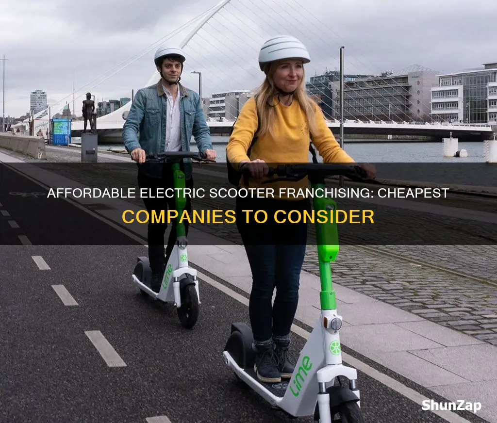 which electric scooter company is chea to franchise withpest