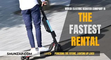 Electric Scooter Race: Who's the Quickest Rental Winner?