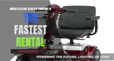 Electric Scooter Rental: Who Offers the Fastest Ride?