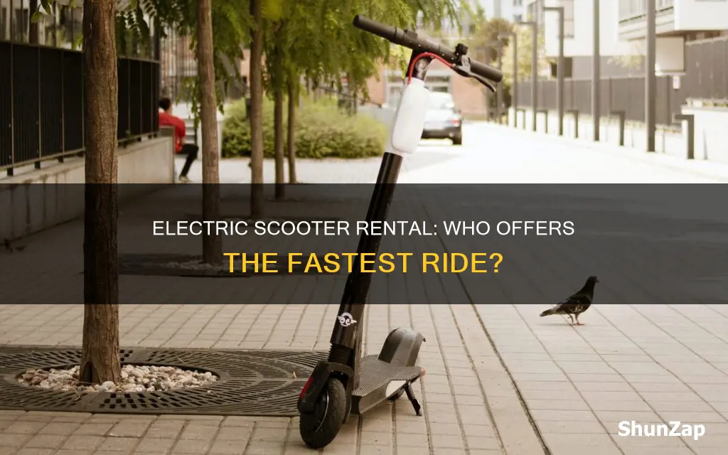 which electric scooter company is the fastest rental