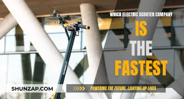 The Ultimate Speed Test: Who's the Fastest Electric Scooter?