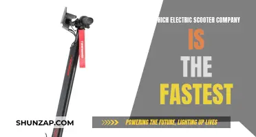 Electric Scooters: Who's the Speed King?