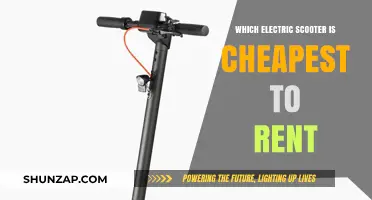 Scooter Rentals: Which Are the Cheapest Electric Options?