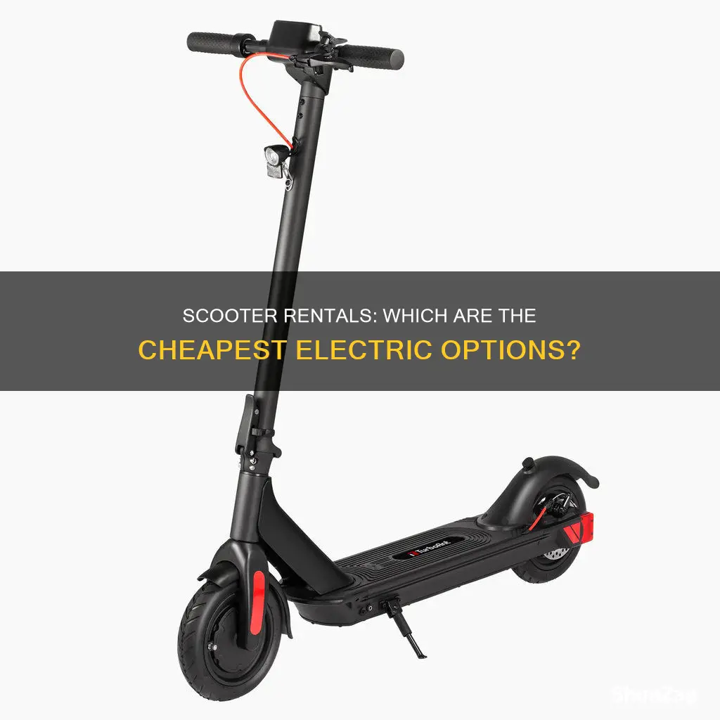 which electric scooter is cheapest to rent