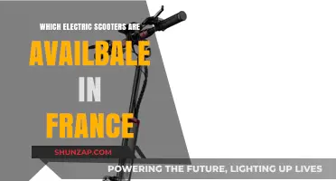 Electric Scooters in France: What Are Your Options?