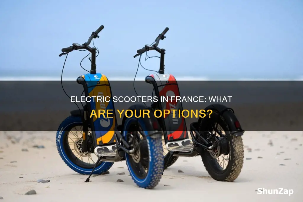 which electric scooters are availbale in france