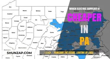 Electric Suppliers in PA: Who Offers the Cheapest Rates?
