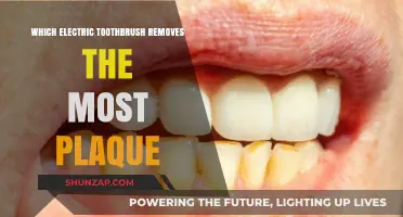 Best Electric Toothbrushes for Plaque Removal