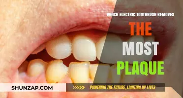 Best Electric Toothbrushes for Plaque Removal