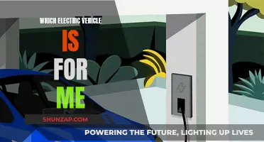 Choosing the Right Electric Vehicle: A Personal Guide